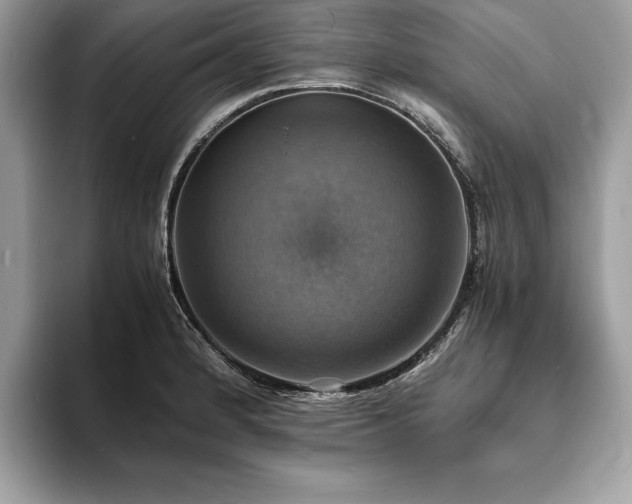 X0000094061184200710191056