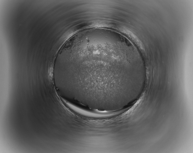 X0000094061185200710191056