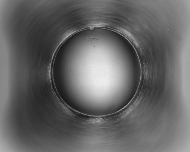 X0000094061186200710191056