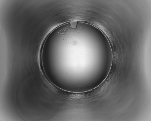 X0000094061187200710191056