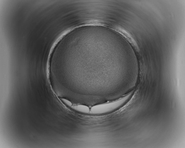X0000094061188200710191056
