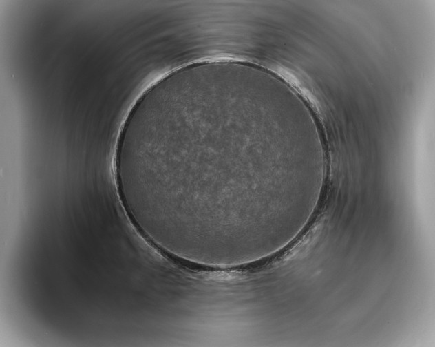 X0000094061189200710191056