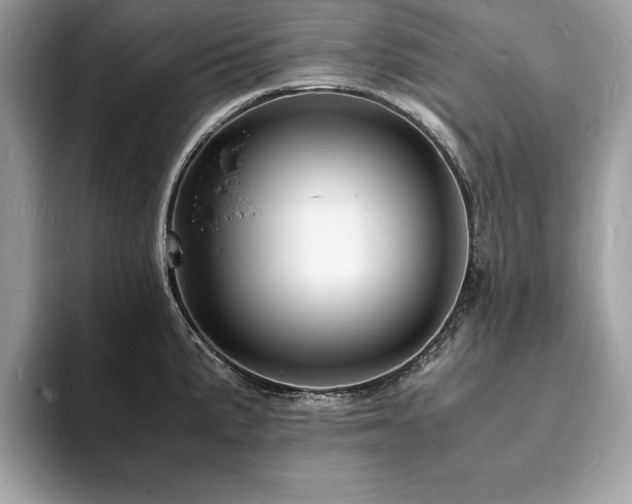 X0000094061191200710191056