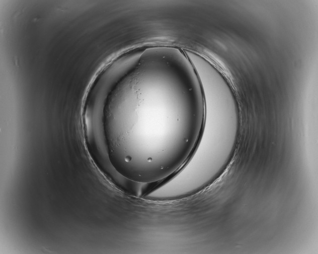 X0000094061192200710191056