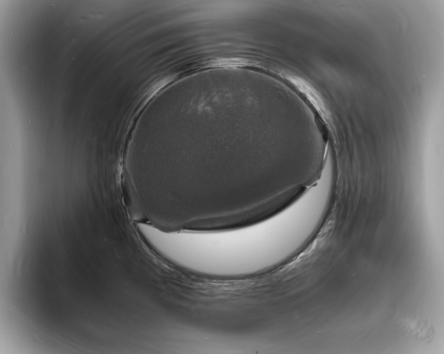X0000094061193200710191056