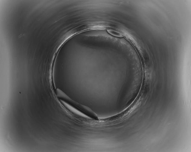 X0000094061194200710191055
