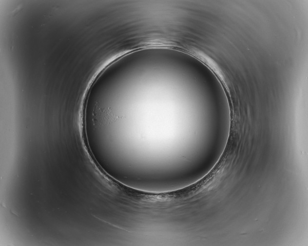 X0000094061195200710191055