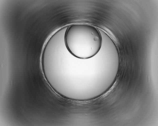 X0000094061196200710191055