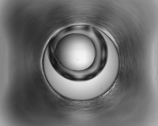 X0000094061197200710191055