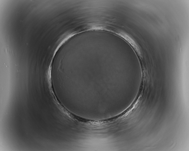 X0000094061198200710191055