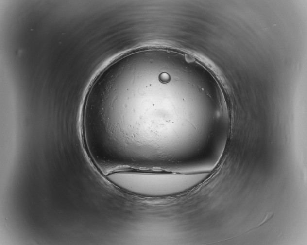 X0000094061199200710191055