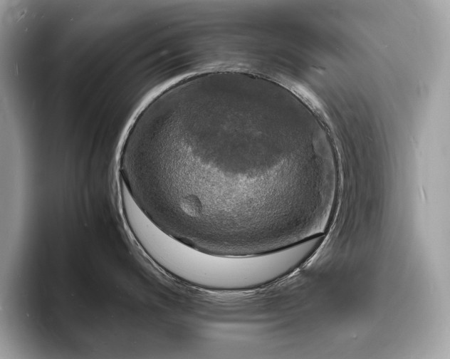 X0000094061200200710191055
