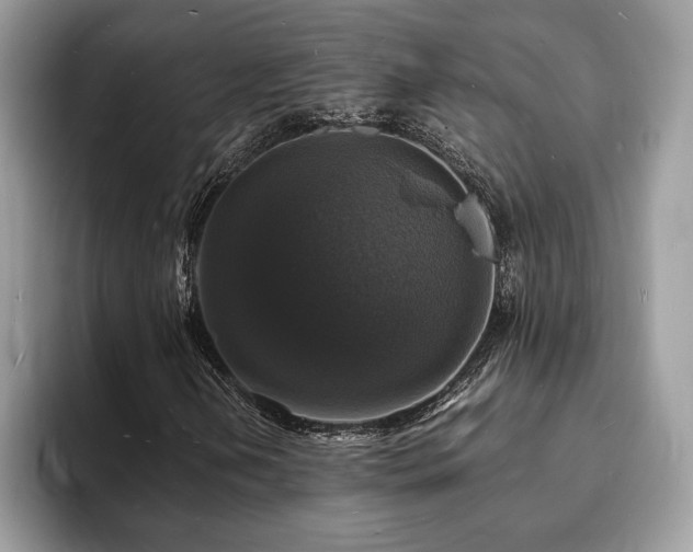 X0000094061202200710191055