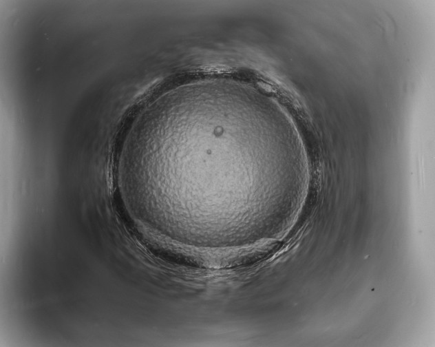 X0000094061205200710191055