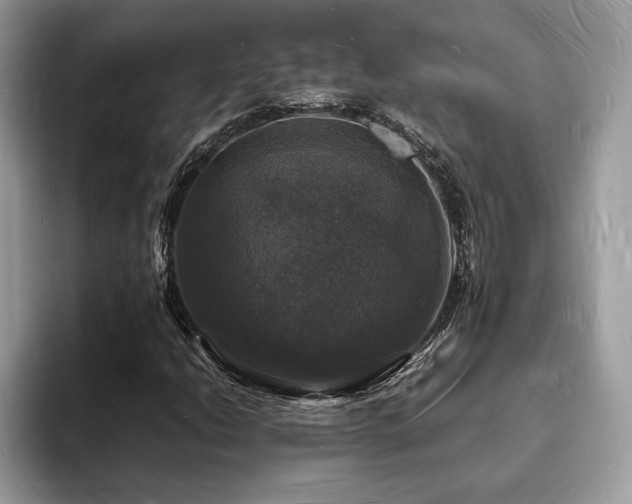 X0000094061206200710191055