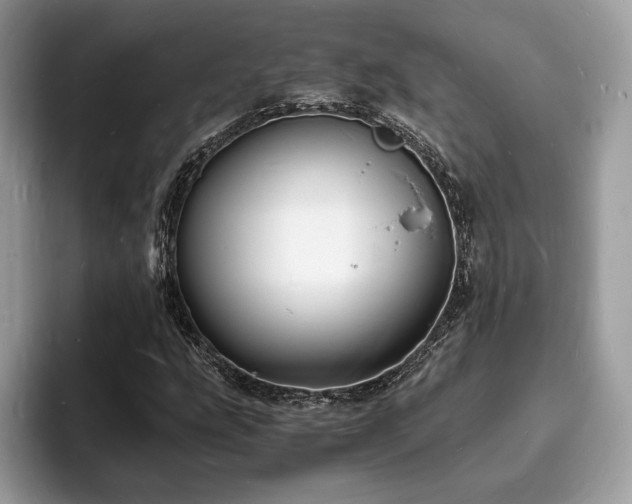 X0000094061207200710191055