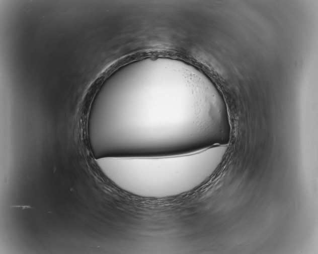 X0000094061208200710191055
