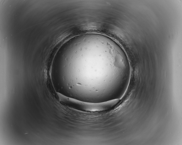 X0000094061209200710191055