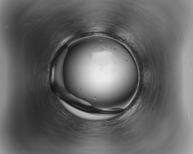 X0000094061210200710191055