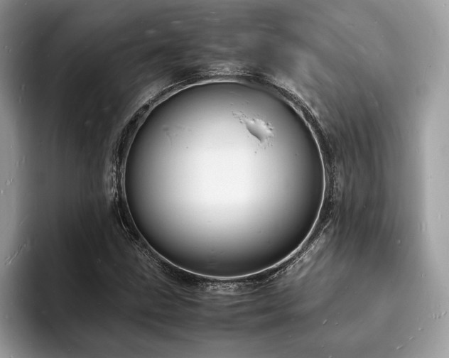 X0000094061211200710191055
