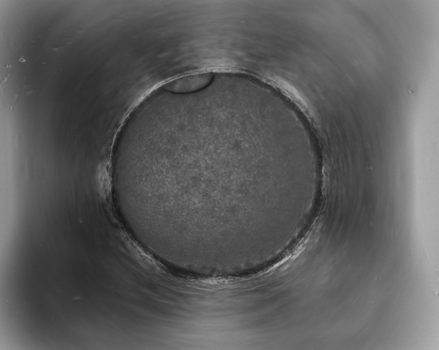 X0000094061212200710191055