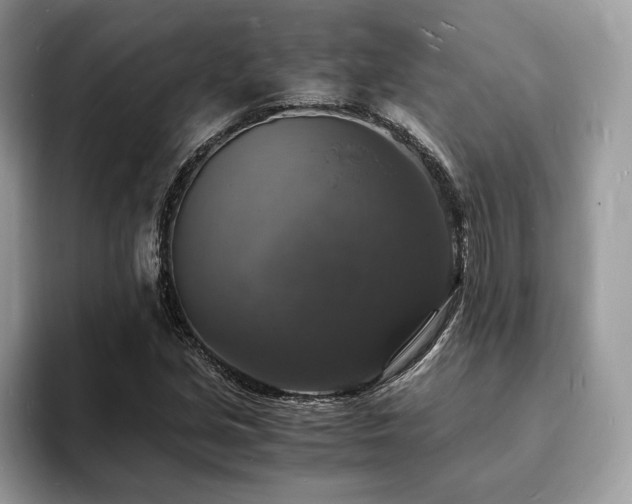 X0000094061213200710191055