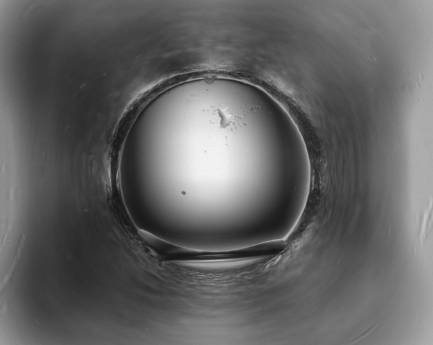 X0000094061214200710191055