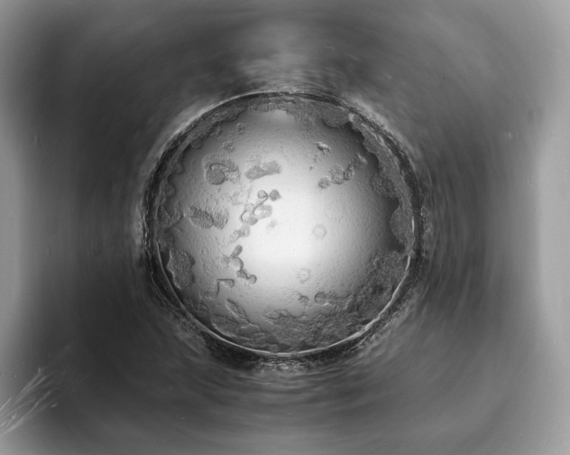 X0000094061215200710191055