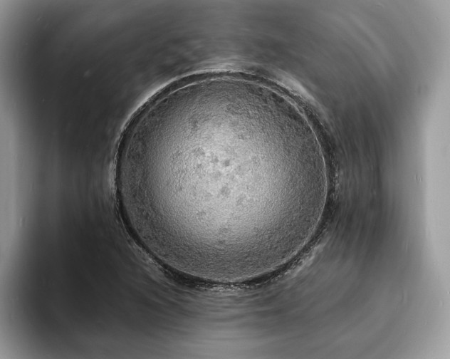 X0000094061216200710191055