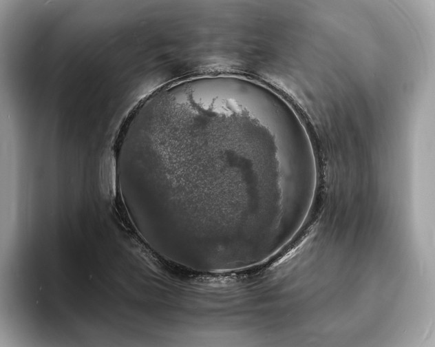 X0000094061219200710191055