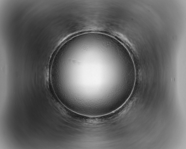 X0000094061220200710191055