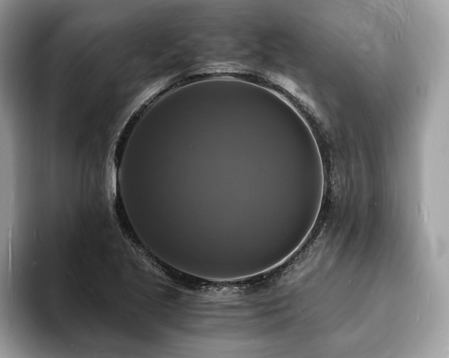 X0000094061221200710191055