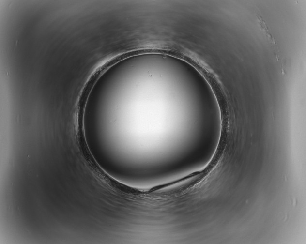 X0000094061222200710191055