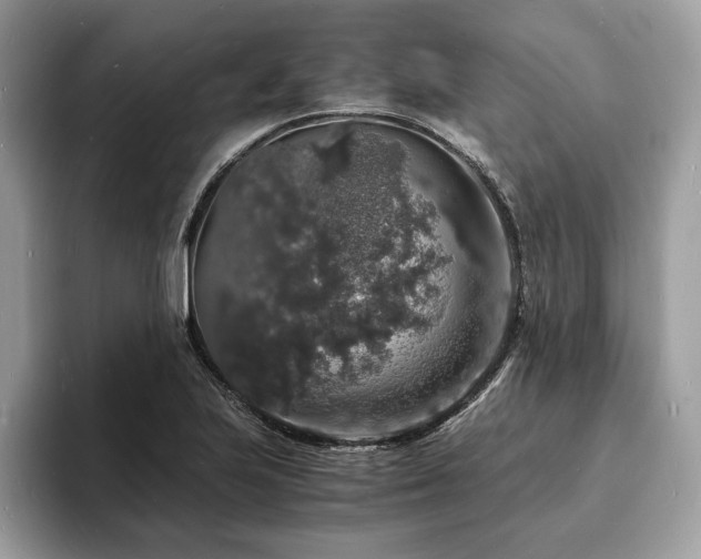 X0000094061223200710191055