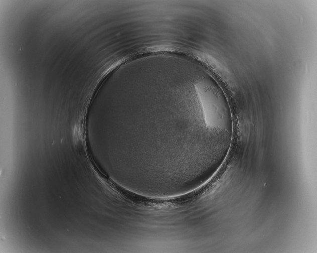 X0000094061225200710191055