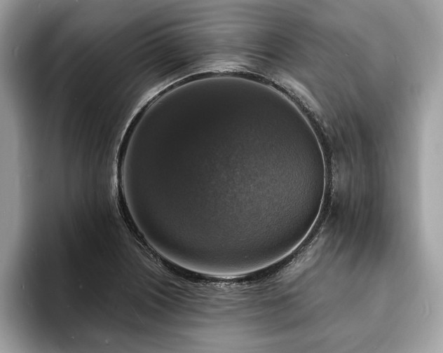 X0000094061226200710191055