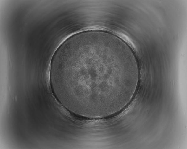 X0000094061228200710191055