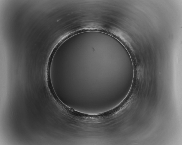 X0000094061229200710191055