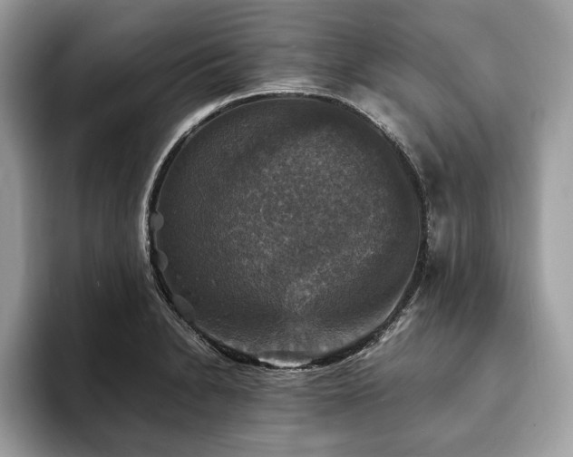 X0000094061230200710191055