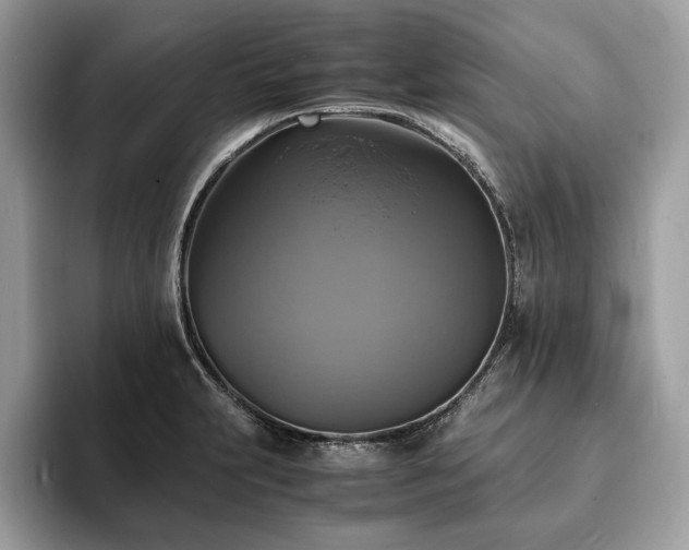 X0000094061231200710191055