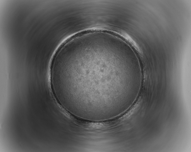 X0000094061232200710191055