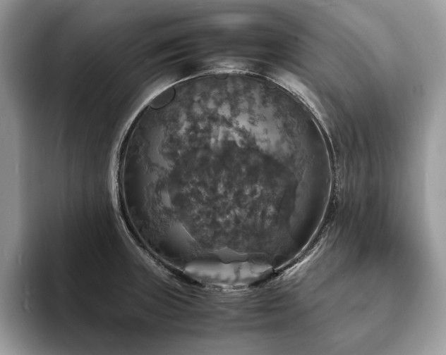 X0000094061235200710191055