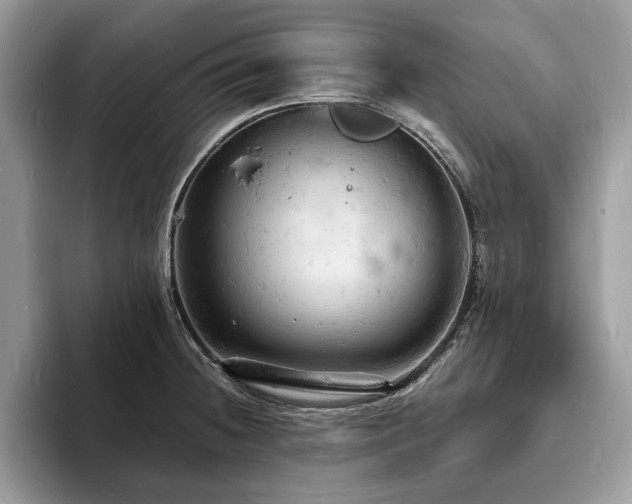 X0000094061236200710191055