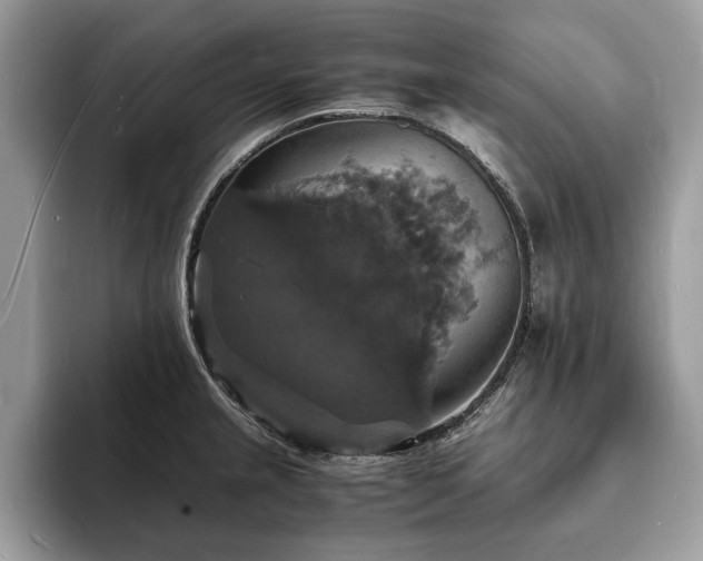 X0000094061237200710191055