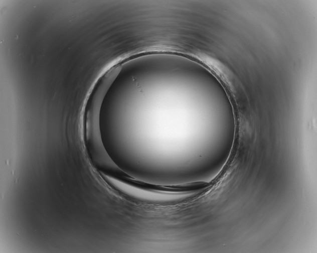 X0000094061238200710191055