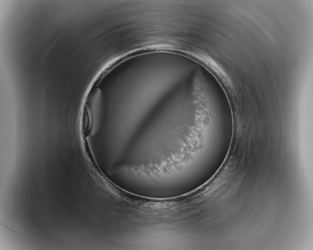 X0000094061240200710191055