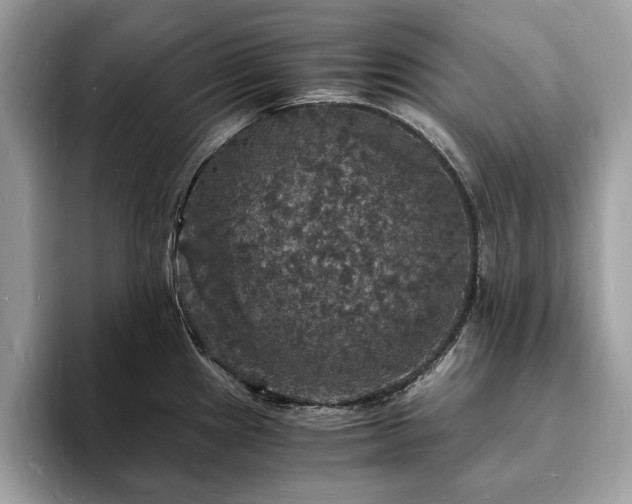 X0000094061241200710191055