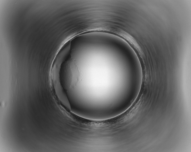 X0000094061242200710191055