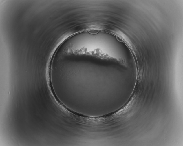 X0000094061243200710191055