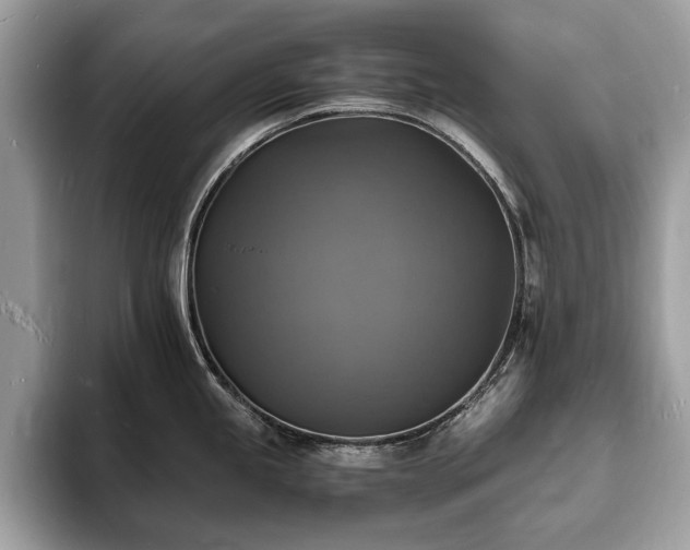 X0000094061245200710191055
